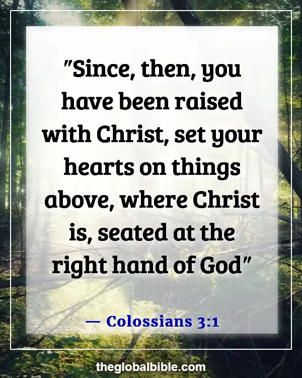 Fill Your Mind With Good Things Bible Verse (Colossians 3:1)