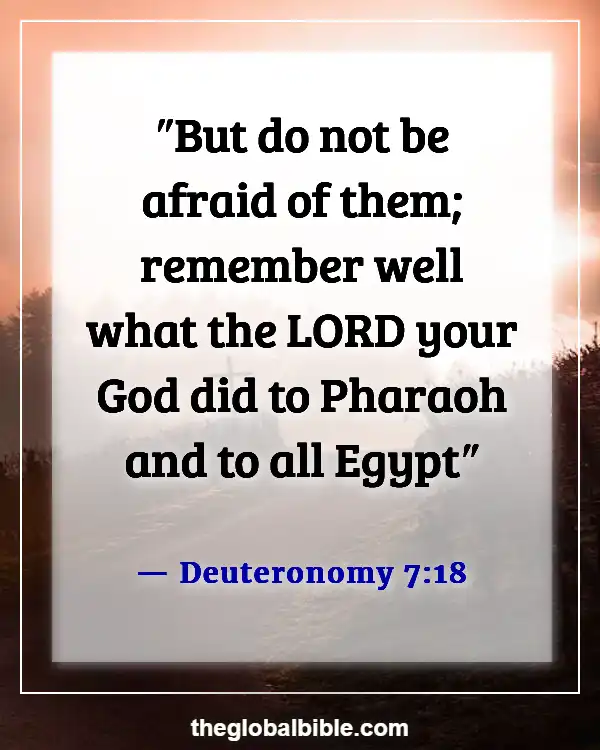 Bible Verse About Remembering What God Has Done for You (Deuteronomy 7:18)