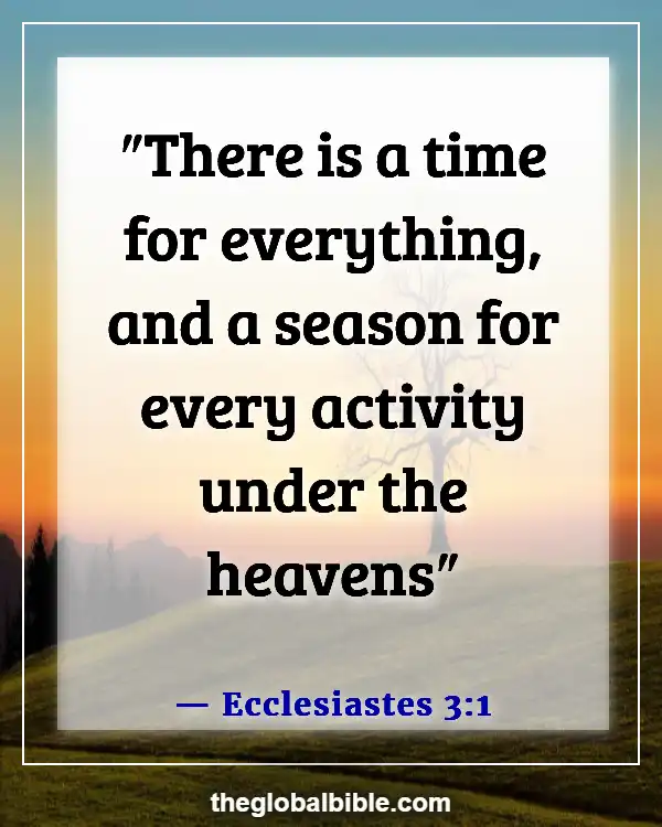 Bible Verse About Waiting on God’s Timing (Ecclesiastes 3:1)