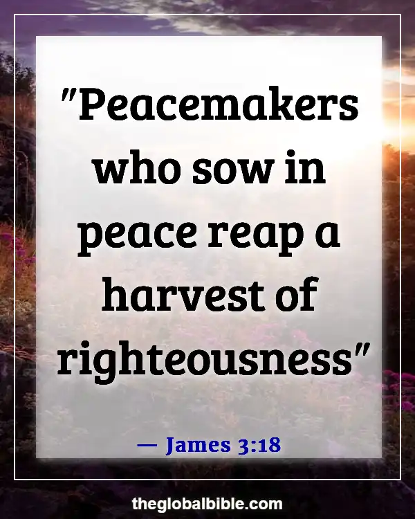 Bible Verses About Peace In The Presence Of God (James 3:18)