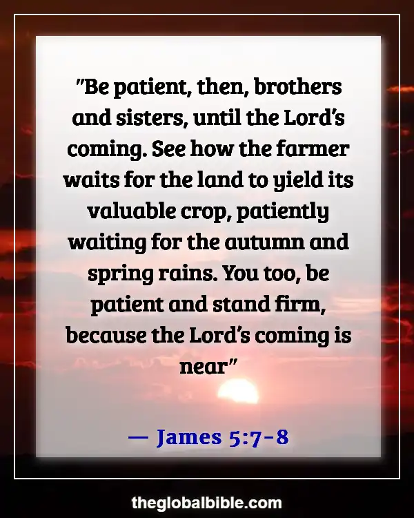 Bible Verse About Waiting on God’s Timing (James 5:7-8)