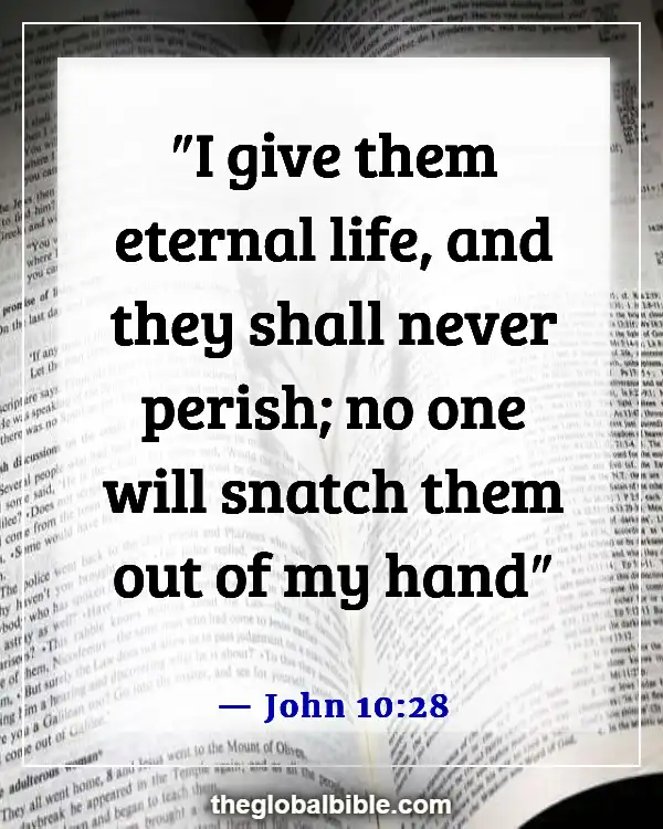 Bible Verses About God Holding Us in His Hands (John 10:28)