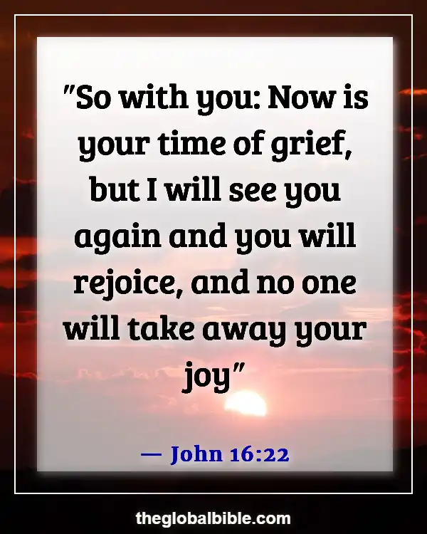 Bible Verses About Not Letting the Devil Steal Your Joy (John 16:22)