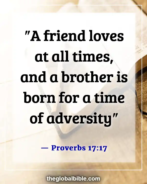 Bible Verse About Friendship Between Man and Woman (Proverbs 17:17)