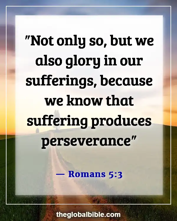 Sometimes God Allows Us to Go Through Difficult Times Scripture (Romans 5:3)