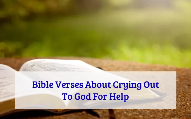 Bible Verses About Crying Out To God For Help