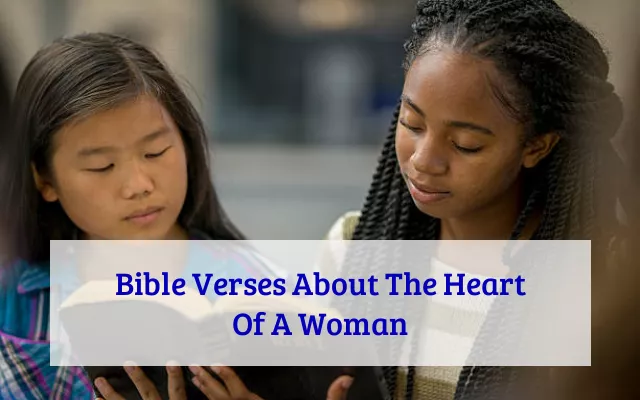 Bible Verses About The Heart Of A Woman