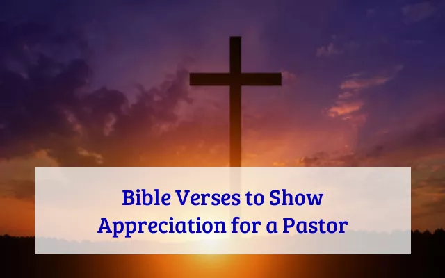 Bible Verses to Show Appreciation for a Pastor